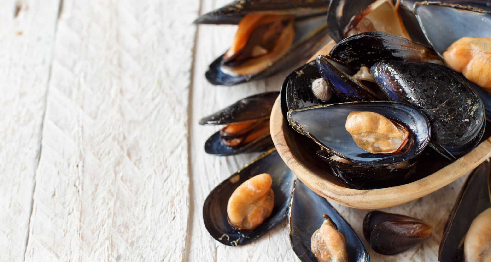 Fresh boiled mussels